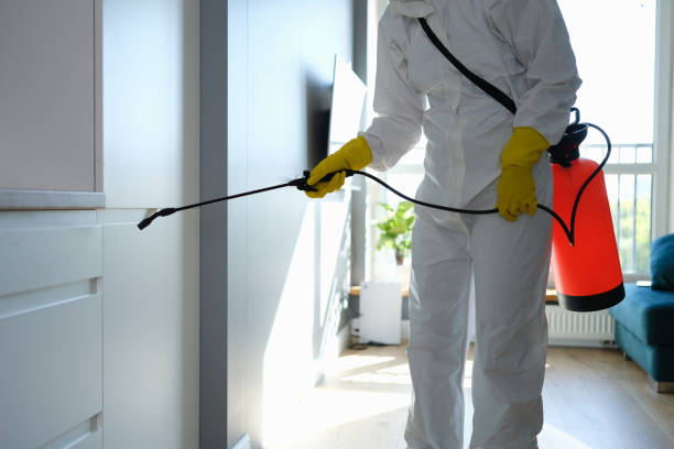 Best Post-Flood Mold Remediation in Atoka, NM
