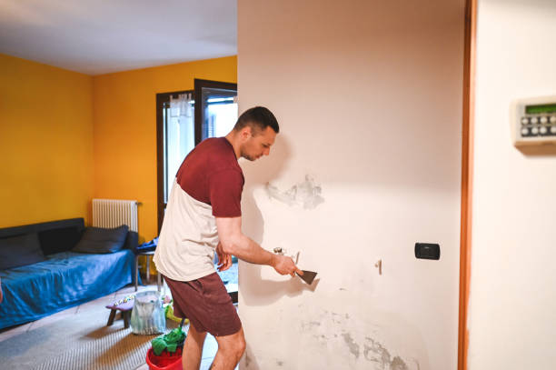 Best Mold Testing and Inspection Services in Atoka, NM